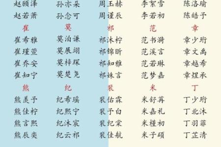 属龙巳时出生的男孩怎么取名，适合用什么字姓名
