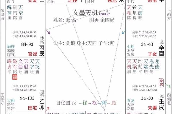 紫薇斗数算要付费 紫薇斗数算要付费