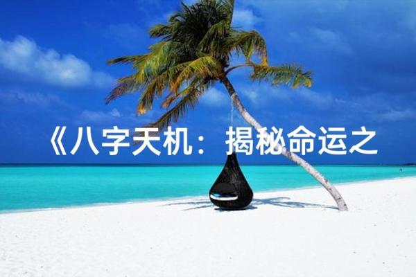 八字天机下载 八字天机下载