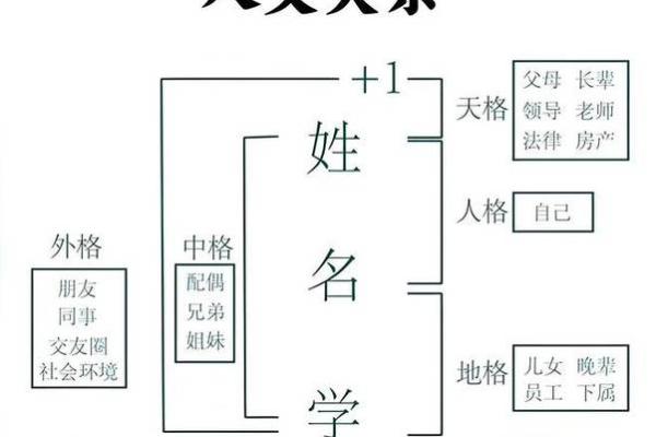 八字木多是属于什么意思呢