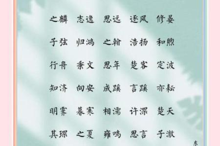 2019年5月19号子时出生的男孩起名方法姓名