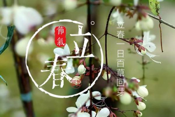 立春 风水 立春 风水