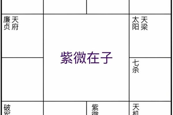 紫薇斗数全书陆 紫薇斗数全书陆