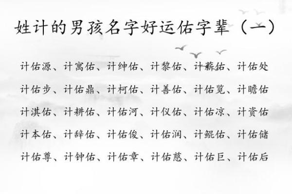 2019年出生的姓胡男孩如何起名，宜用什么字姓名