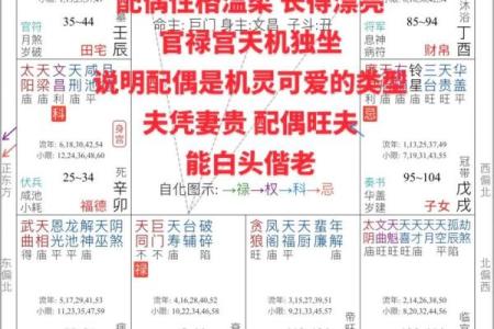 紫薇斗数多久会看盘