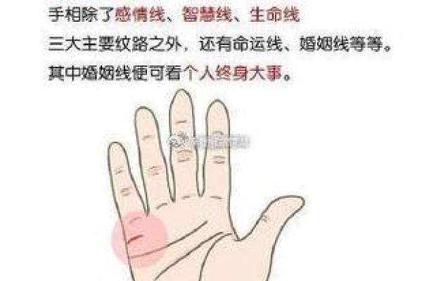 女人右手掌纹图解算命婚姻线 咋看女人右手的婚姻线