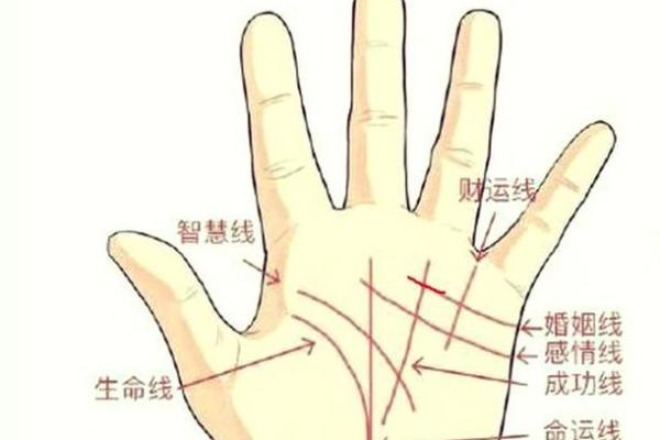 女人右手掌纹图解算命婚姻线 咋看女人右手的婚姻线