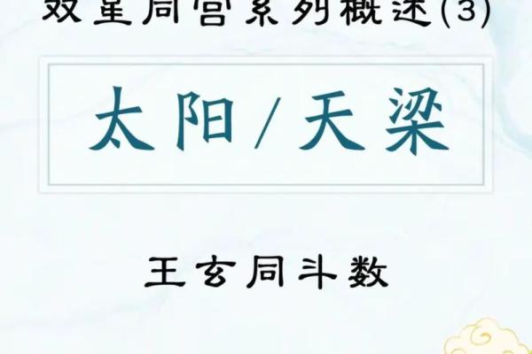 紫薇斗数天梁 紫薇斗数天梁