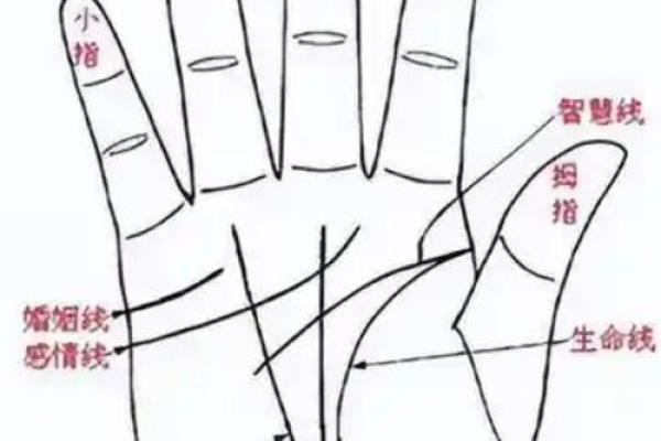 手相算命话语,手相算命说法
