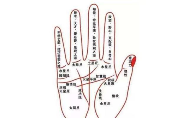 剖腹产八字准吗