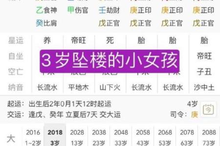 八字地支为亥的女命