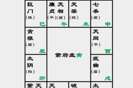 紫微斗数之迁移宫与诸星，紫微星在迁移宫是什么意思？