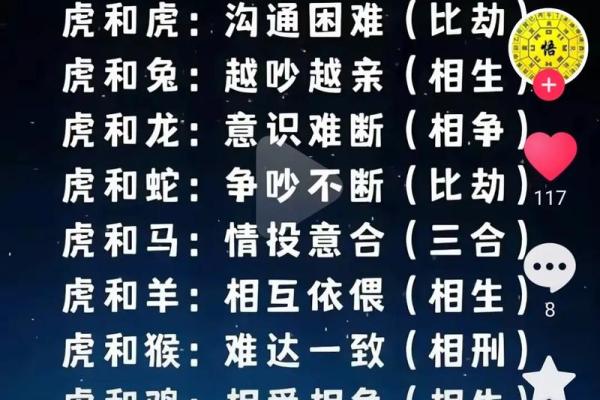96年鼠和98虎八字合不合 96年鼠和98虎八字合不合朋友 96年鼠和98虎八字合不合 96年鼠和98虎八字合不合朋友