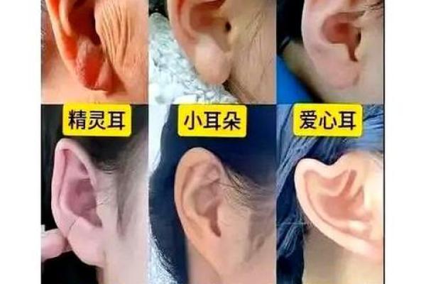 风水面相：耳朵贴脑的女人好不好