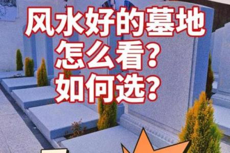 坟墓风水好不好都从哪些方面看