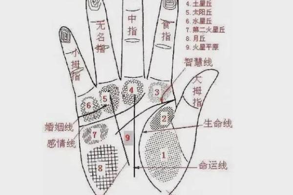 手相算命婚姻线详解