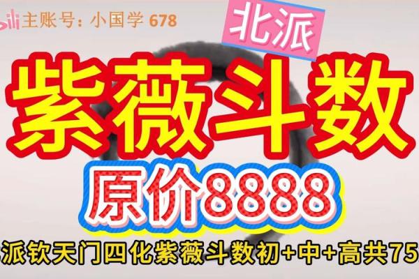紫薇斗数实战视频