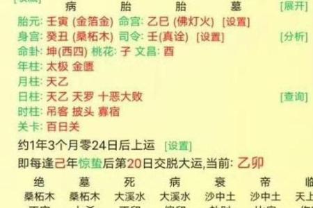 八字流年生大运吉凶解释