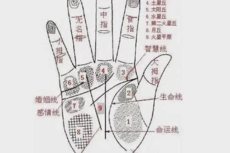 手相算命婚姻线详解