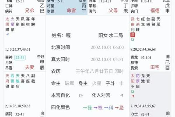 倪海厦天纪紫薇斗数排盘