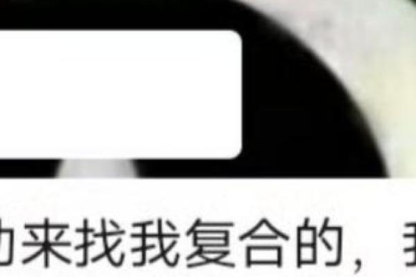 算命说还能和好