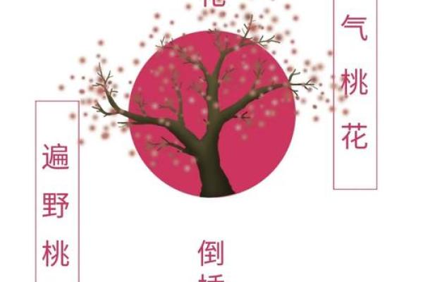 算命说今年犯倒插桃花