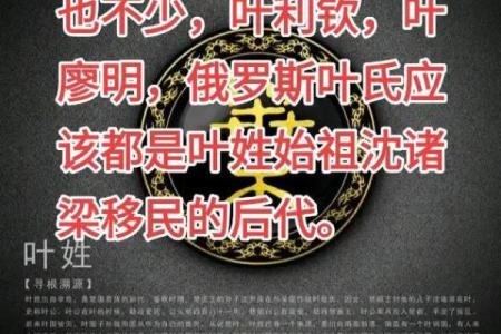 姓叶的名人-姓名学-华易算命网姓名