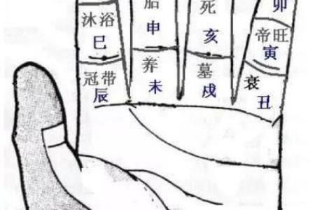 圆形手指算命