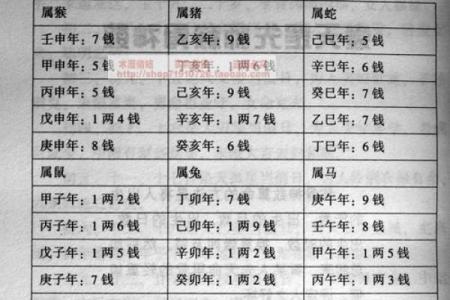 算命术中俗相什么意思