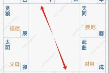 紫薇斗数华盖在官禄宫