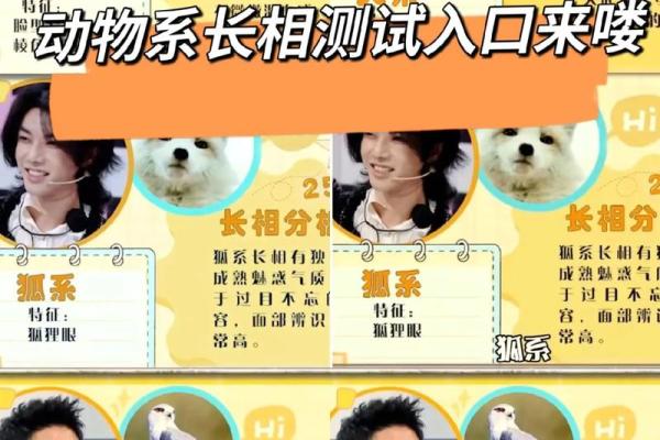 根据名字测试你是什么动物  本命动物测试