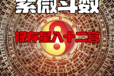 紫微斗数之诸星值限年运气推断：破碎星之年