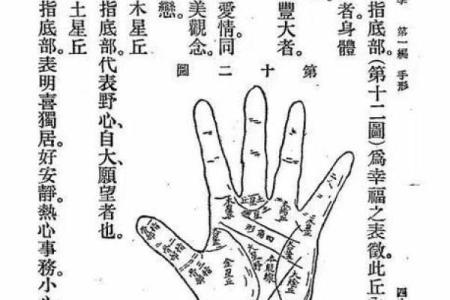 看手相算命图解