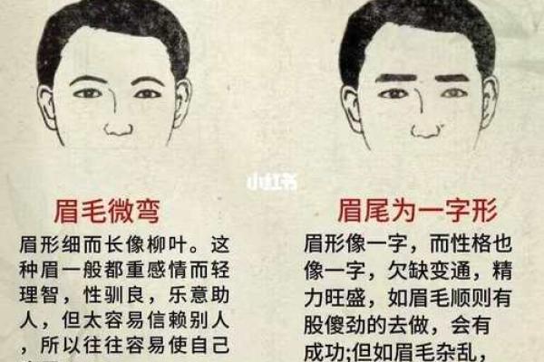风水面相哪三种眉毛男人最好命