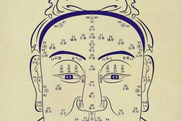 风水面相哪三种眉毛男人最好命