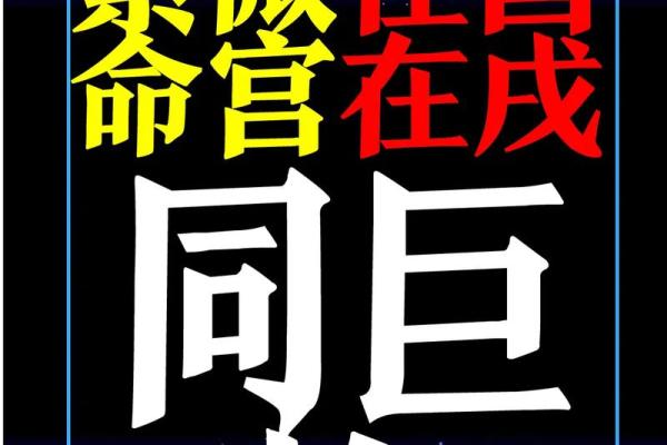 紫薇斗数：揭开命运之谜的古老智慧