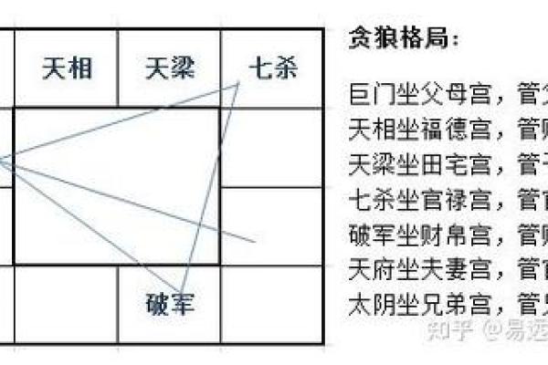 看紫薇斗数贪狼