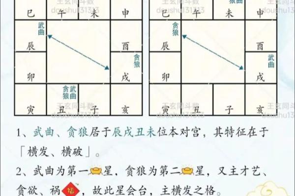 看紫薇斗数贪狼