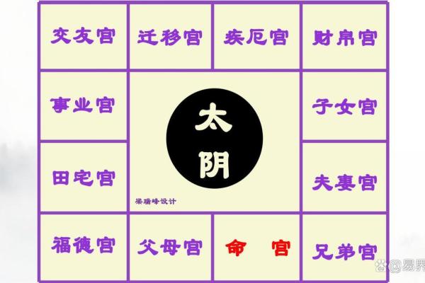 紫微斗数诸星落诸宫之:太阴星子女宫详解 紫微斗数诸星落诸宫之:太阴星子女宫详解