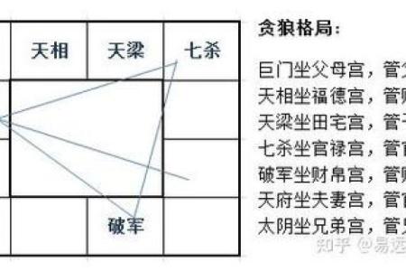 看紫薇斗数贪狼