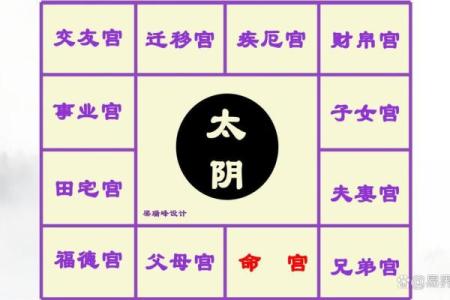 紫微斗数诸星落诸宫之：太阴星子女宫详解