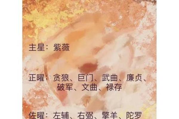 紫薇星系财富星星怎么看