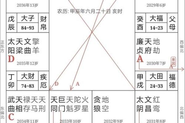 紫薇斗数全解PDF的简单介绍