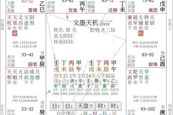 紫薇斗数富翁格局