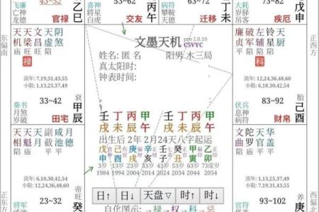 紫薇斗数富翁格局