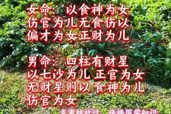 算命的说身上有婴灵 竟是真的存在 算命的说身上有婴灵 竟是真的存在