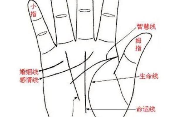 手相图解大全女右手算命 看手相算命图解女性右手