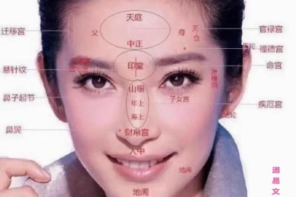 八字婚姻宫冲子女宫