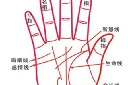 手相图解大全女右手算命 看手相算命图解女性右手