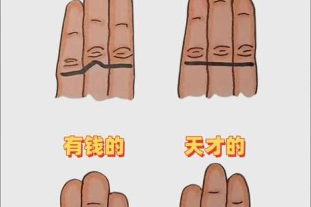 指纹算命 十指指纹算命查询